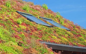 Broad Haven living roof systems