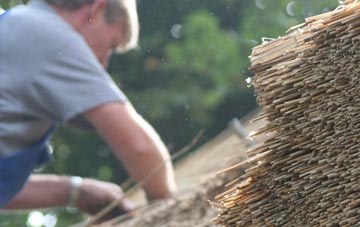 professional Broad Haven thatchers