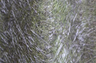 Broad Haven fibreglass roof work